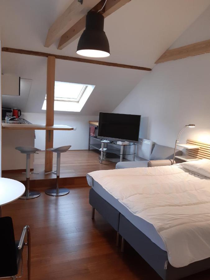 Loft Studio Avec Charme Et Authenticite Hotel Altkirch Exterior photo